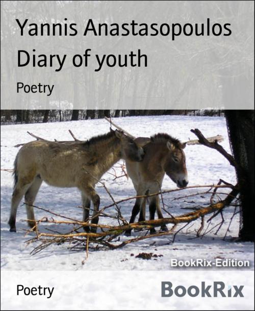 Cover of the book Diary of youth by Yannis Anastasopoulos, BookRix