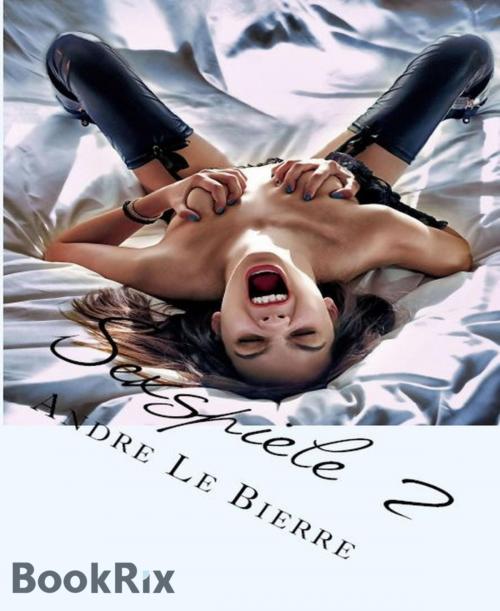 Cover of the book Sexspiele 2 by Andre Le Bierre, BookRix