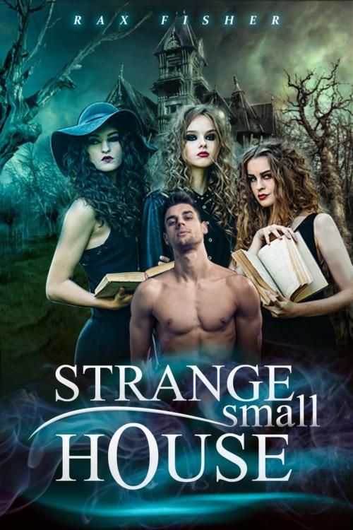 Cover of the book STRANGE SMALL HOUSE by Rax Fisher, BookRix