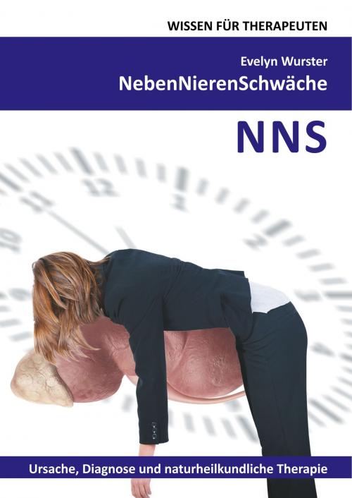 Cover of the book Nebennierenschwäche Wissen für Therapeuten by Evelyn Wurster, Books on Demand
