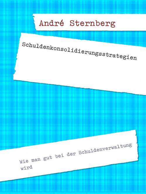 Cover of the book Schuldenkonsolidierungsstrategien by Andre Sternberg, epubli