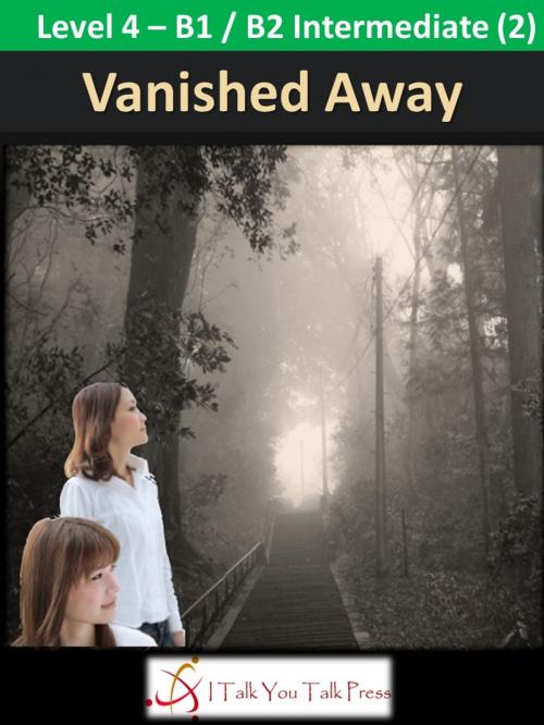 Cover of the book Vanished Away by I Talk You Talk Press, I Talk You Talk Press