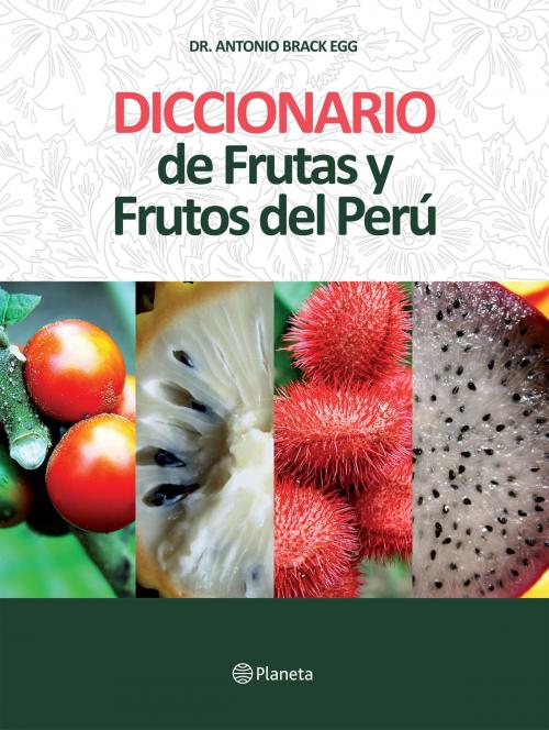 Cover of the book Diccionario de Frutas y Frutos del Perú by La Universidad San Martín de Porres, Grupo Planeta - Perú