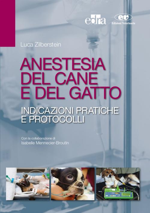 Cover of the book Anestesia del cane e del gatto by Luca Zilberstein, Edra