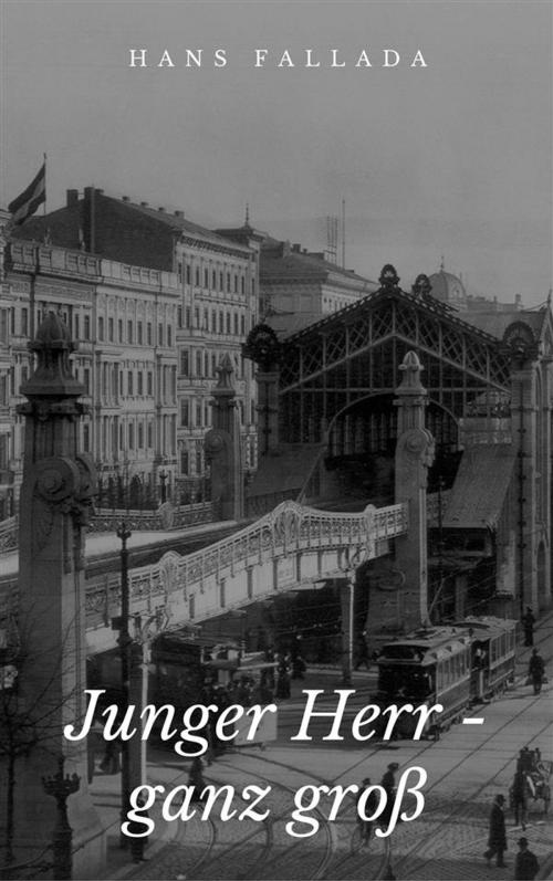 Cover of the book Junger Herr - ganz groß by Hans Fallada, Paperless