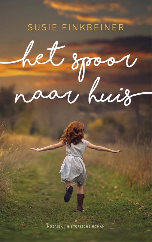 Cover of the book Het spoor naar huis by Susie Finkbeiner, VBK Media