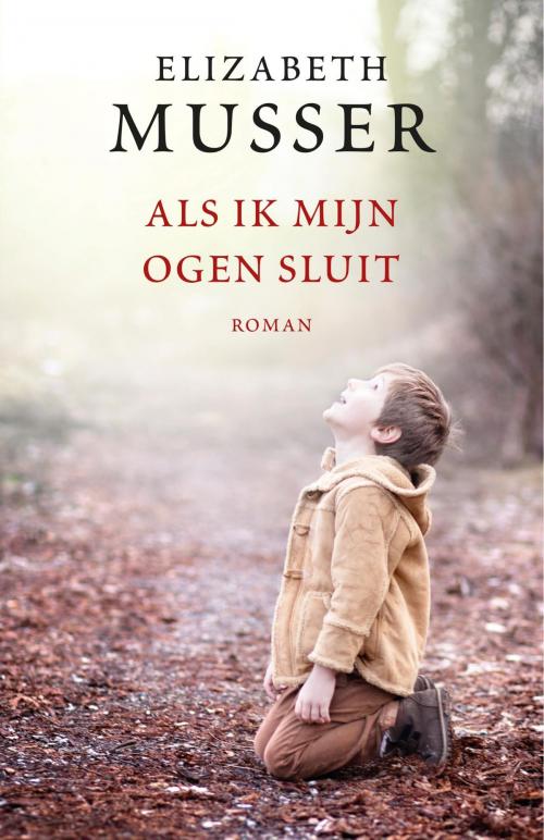 Cover of the book Als ik mijn ogen sluit by Elizabeth Musser, VBK Media
