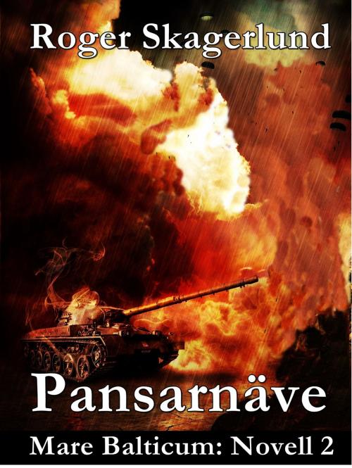 Cover of the book Pansarnäve by Roger Skagerlund, Books on Demand
