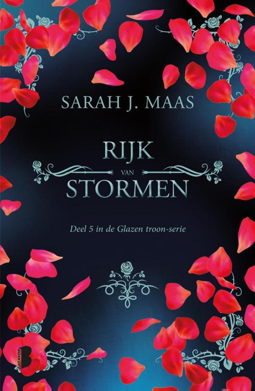 Cover of the book Rijk van stormen by Sarah J. Maas, Meulenhoff Boekerij B.V.