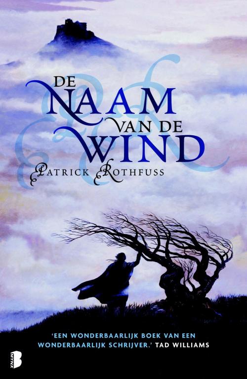 Cover of the book De naam van de wind by Patrick Rothfuss, Meulenhoff Boekerij B.V.