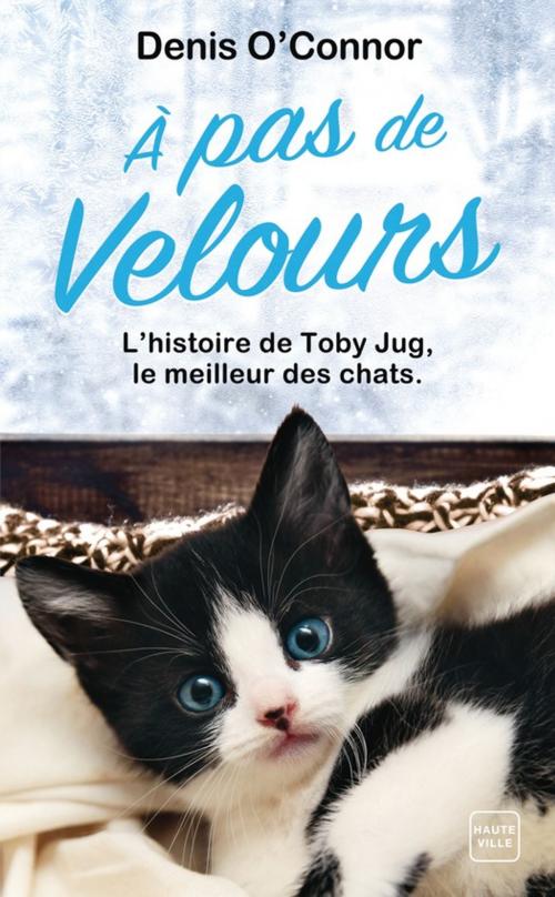 Cover of the book À pas de velours by Denis O'Connor, Milady