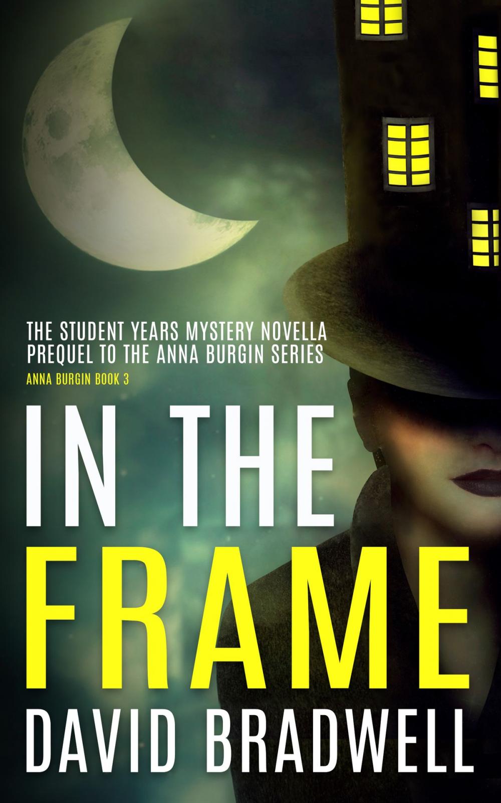 Big bigCover of In The Frame - Prequel Mystery Novella
