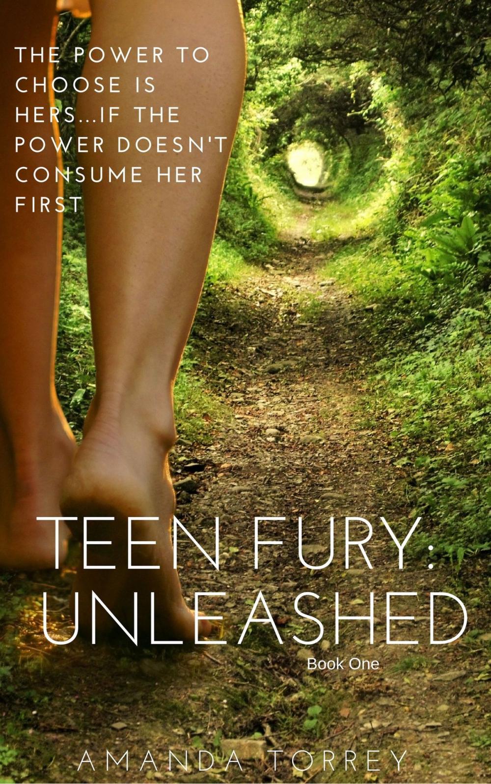 Big bigCover of Teen Fury: Unleashed
