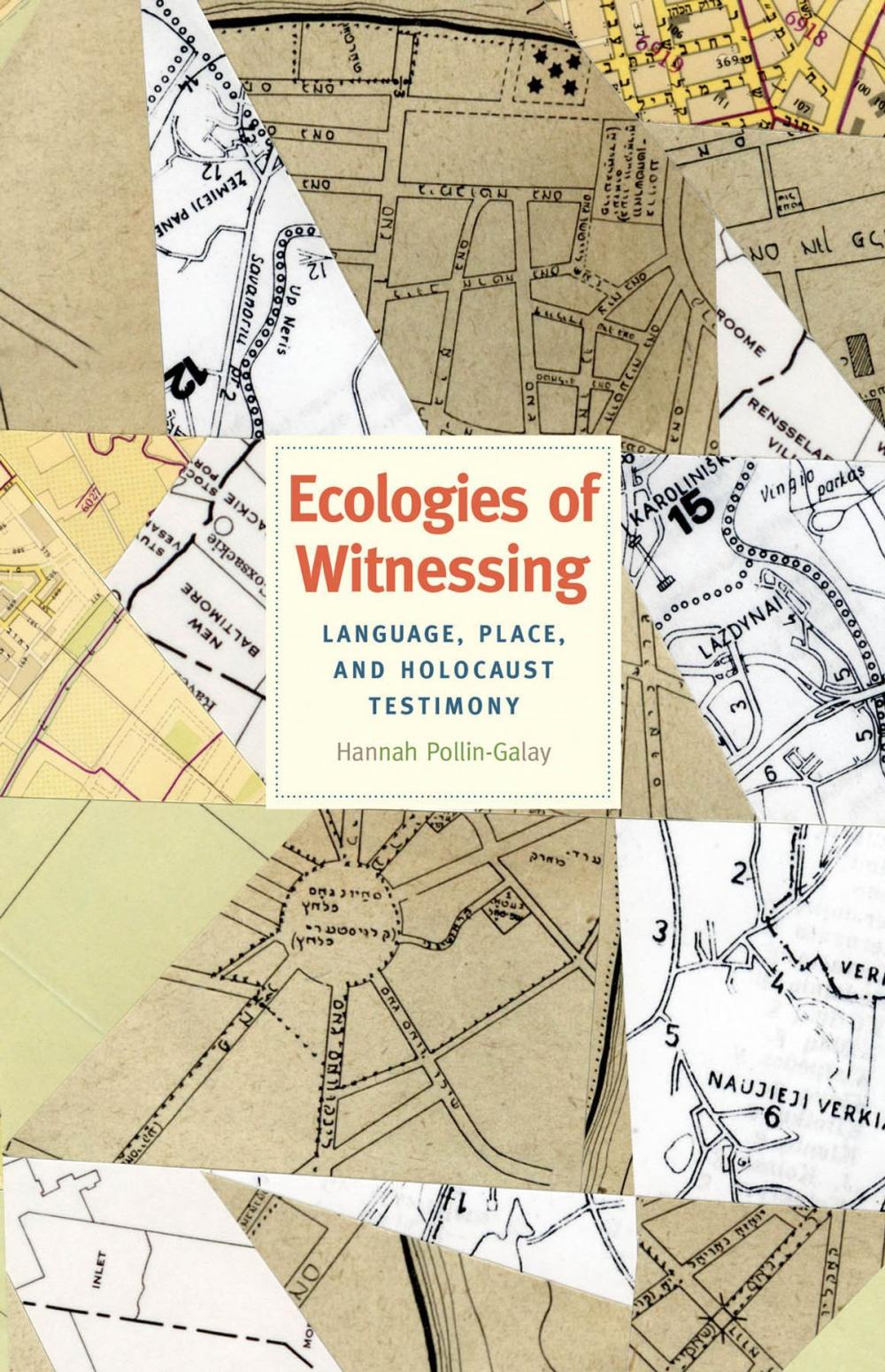 Big bigCover of Ecologies of Witnessing