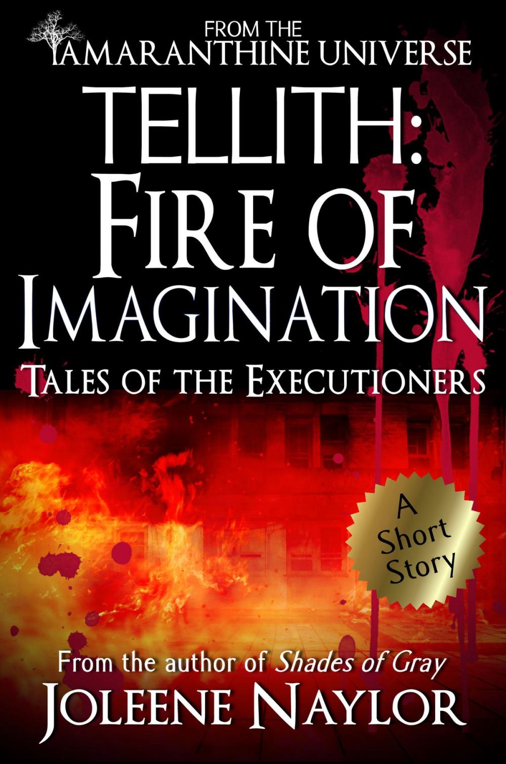 Big bigCover of Tellith: Fire of Imagination (Tales of the Executioners)