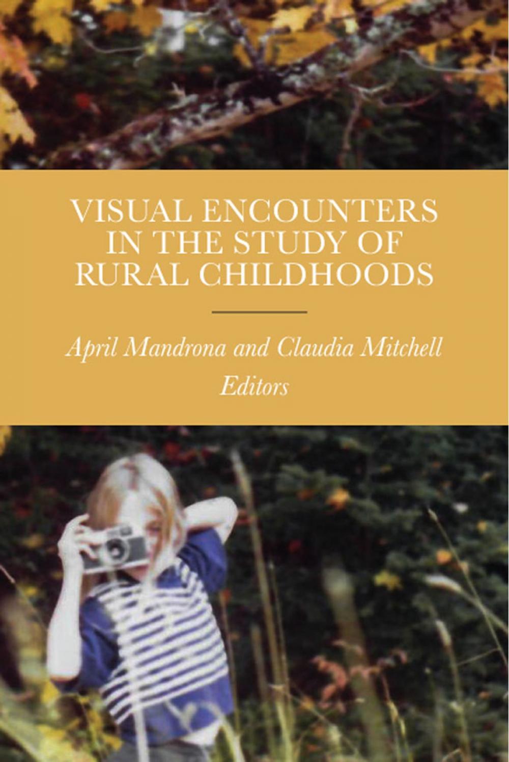 Big bigCover of Visual Encounters in the Study of Rural Childhoods