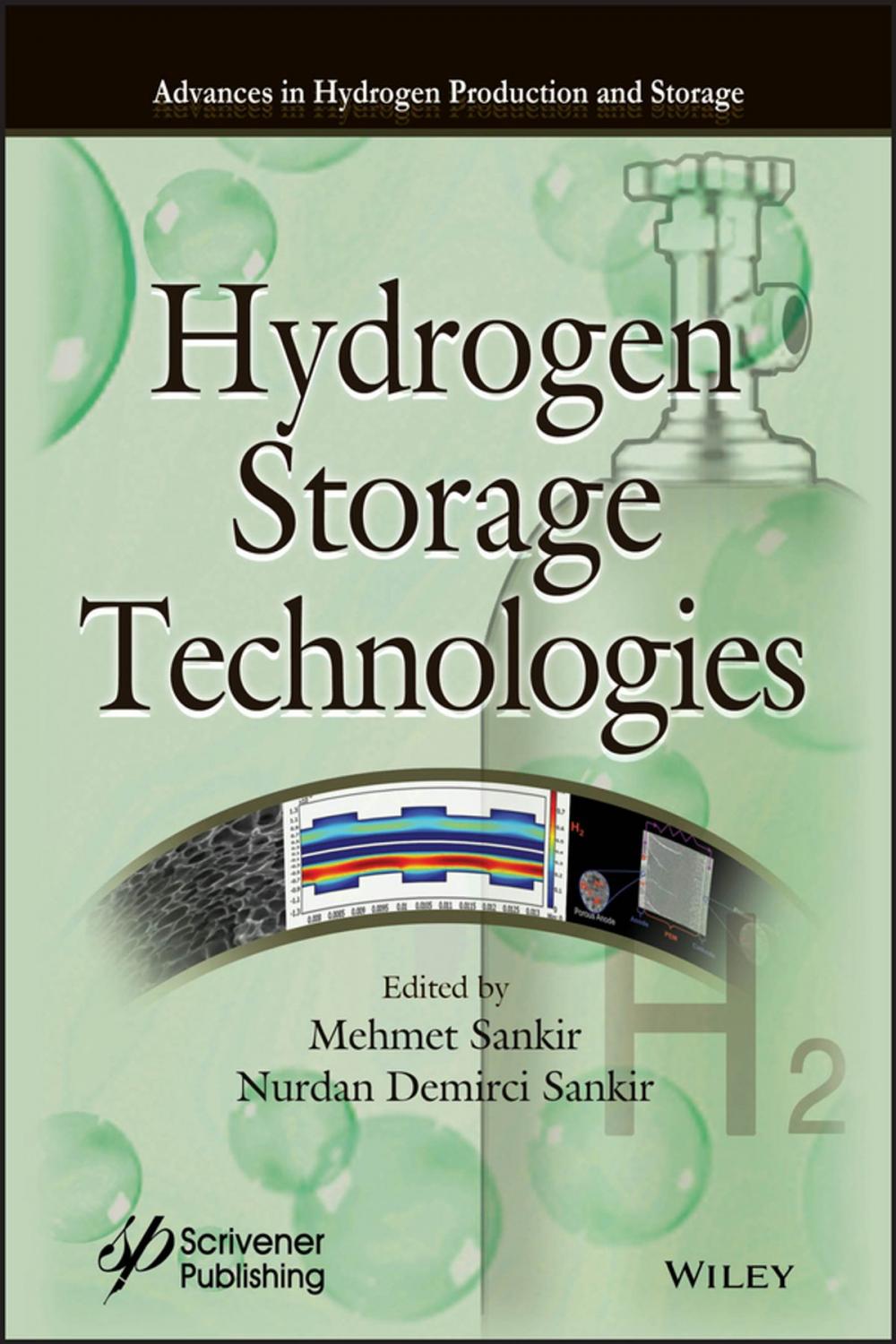 Big bigCover of Hyrdogen Storage Technologies