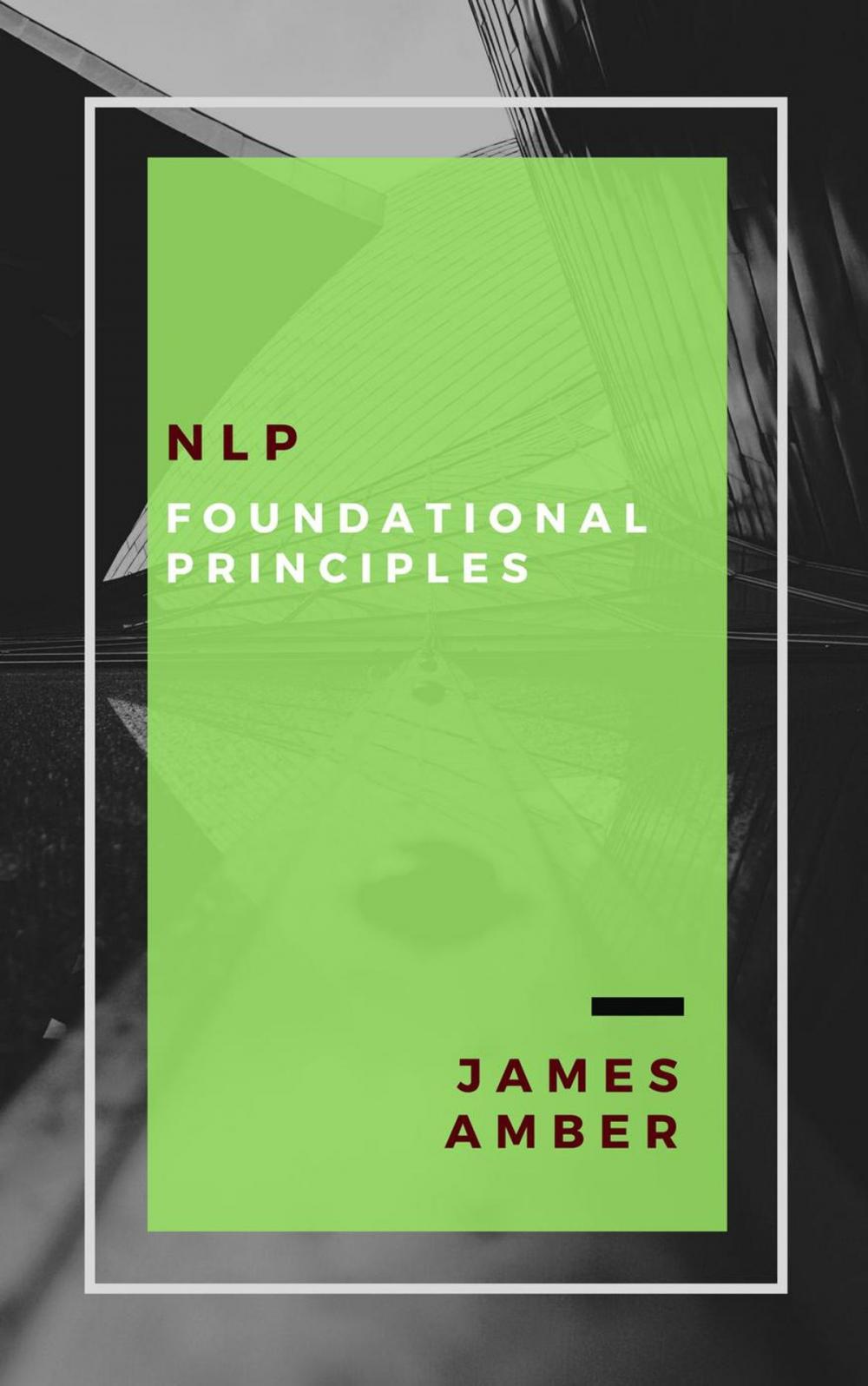 Big bigCover of NLP: Foundational Principles