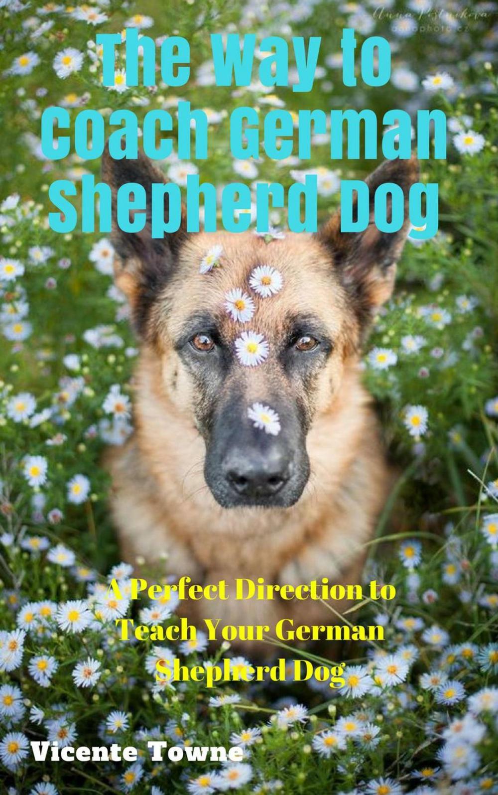 Big bigCover of The Way to Coach German Shepherd Dog A Perfect Direction to Teach Your German Shepherd Dog