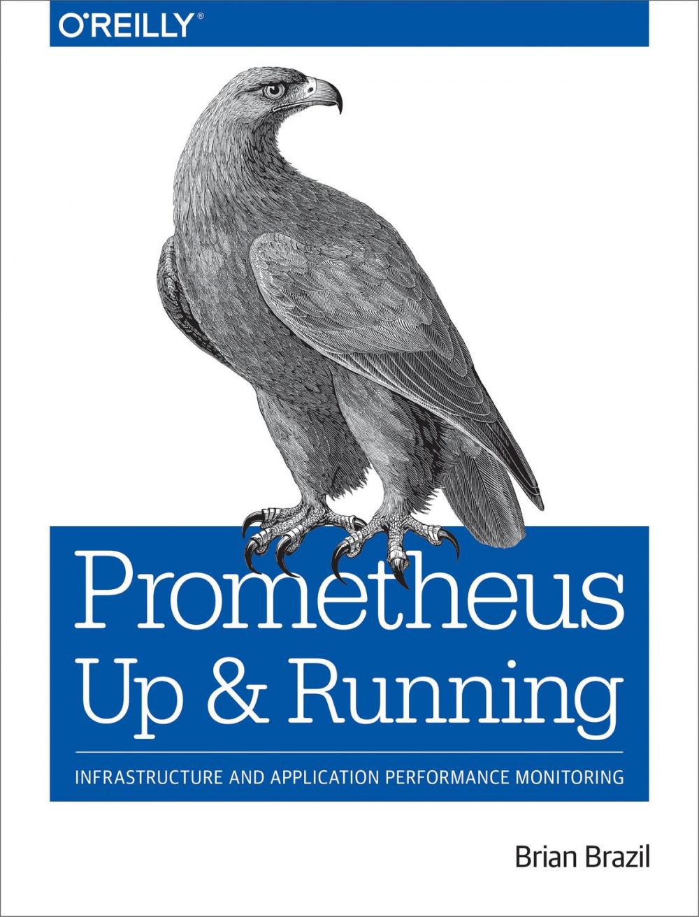 Big bigCover of Prometheus: Up & Running