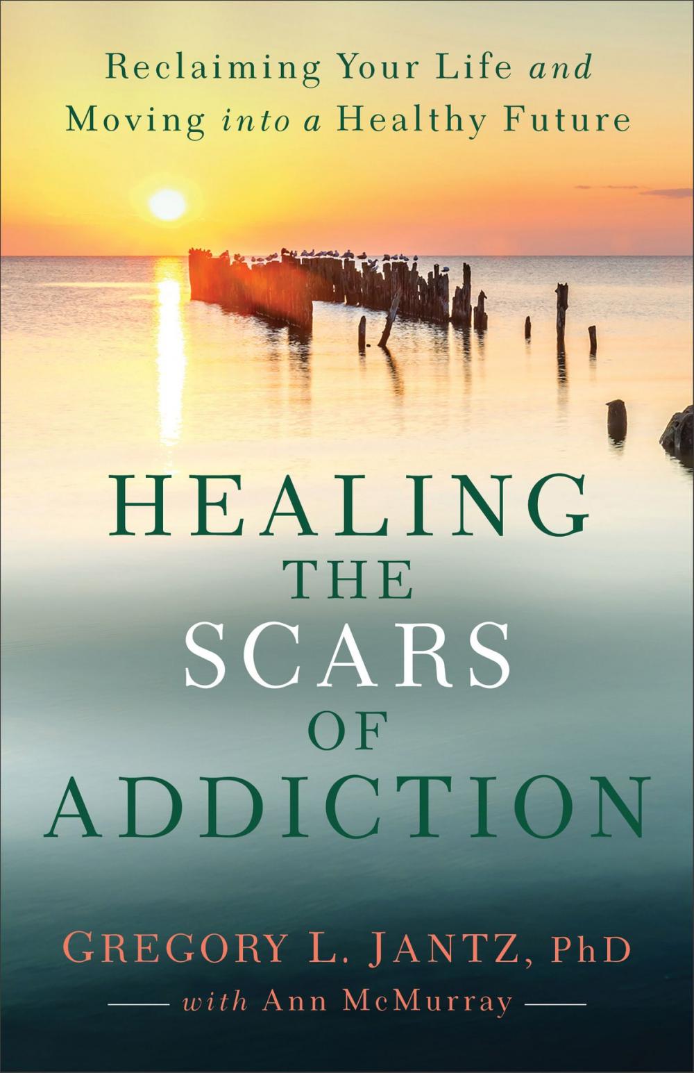 Big bigCover of Healing the Scars of Addiction