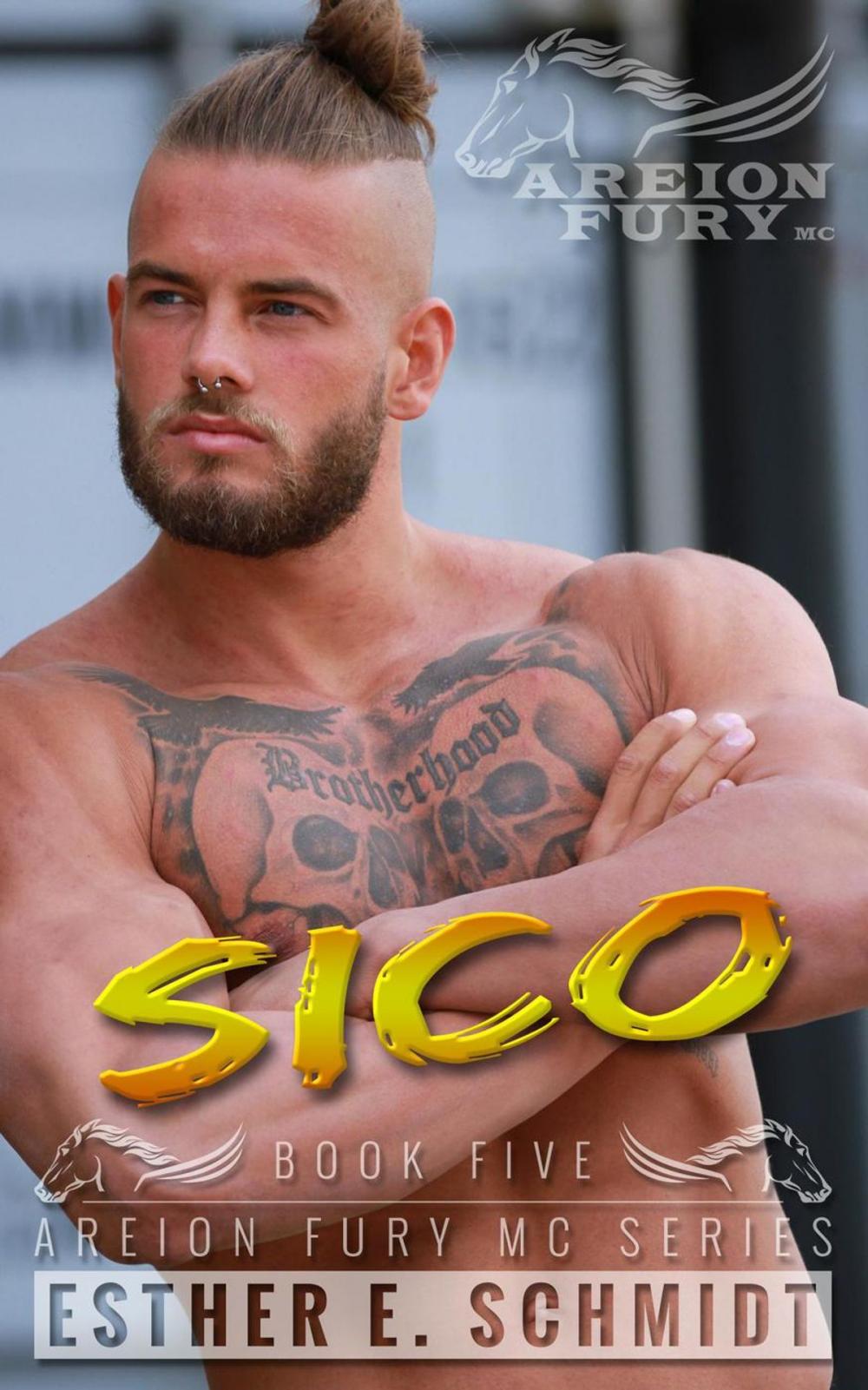 Big bigCover of Sico