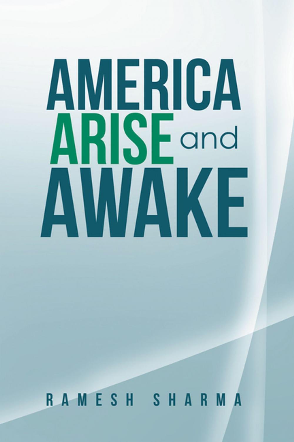 Big bigCover of America Arise and Awake