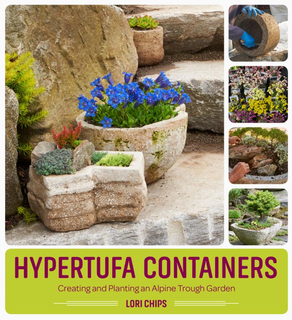 Big bigCover of Hypertufa Containers