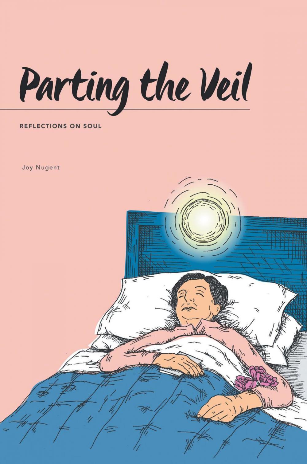 Big bigCover of Parting the Veil