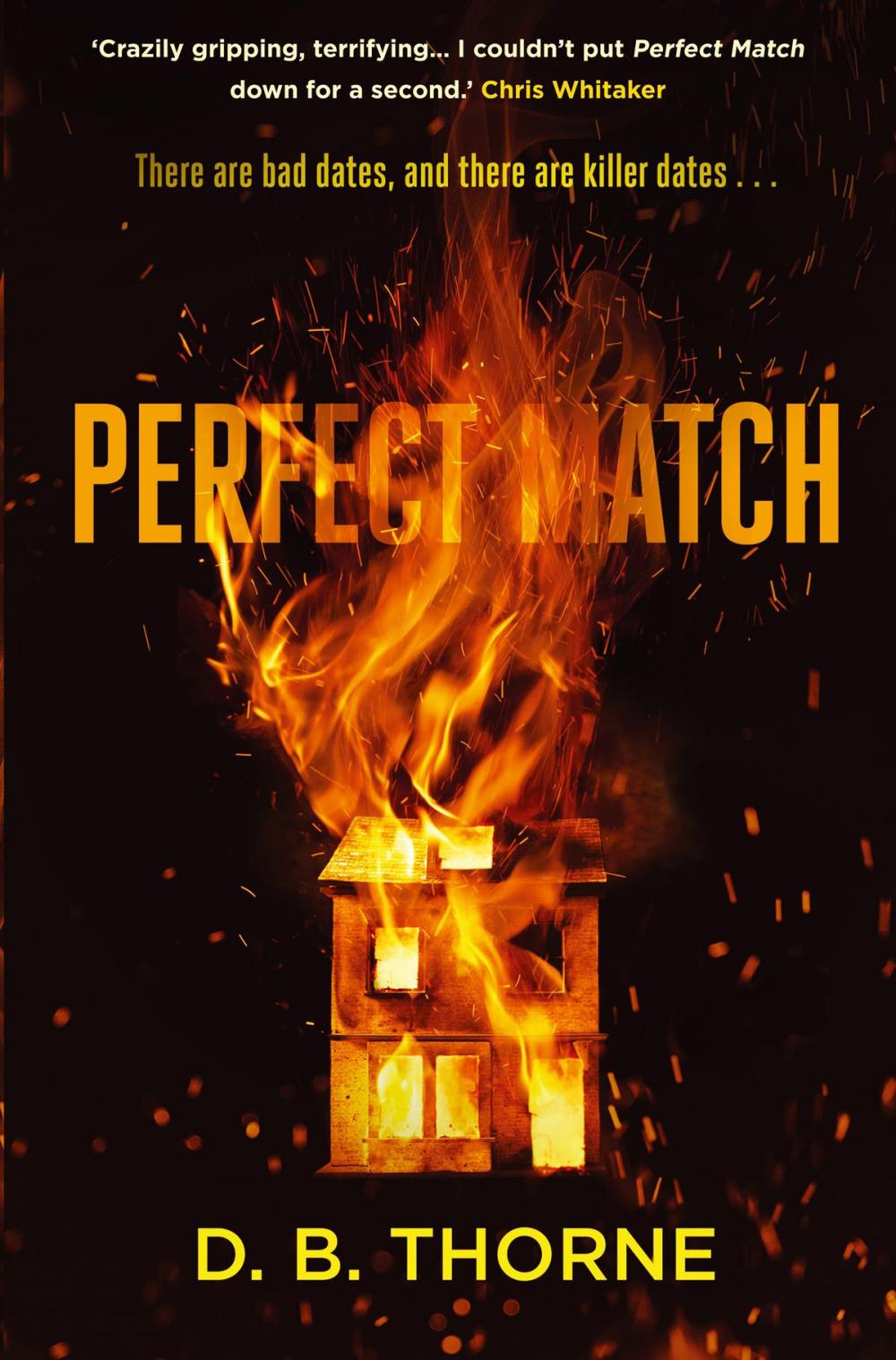 Big bigCover of Perfect Match