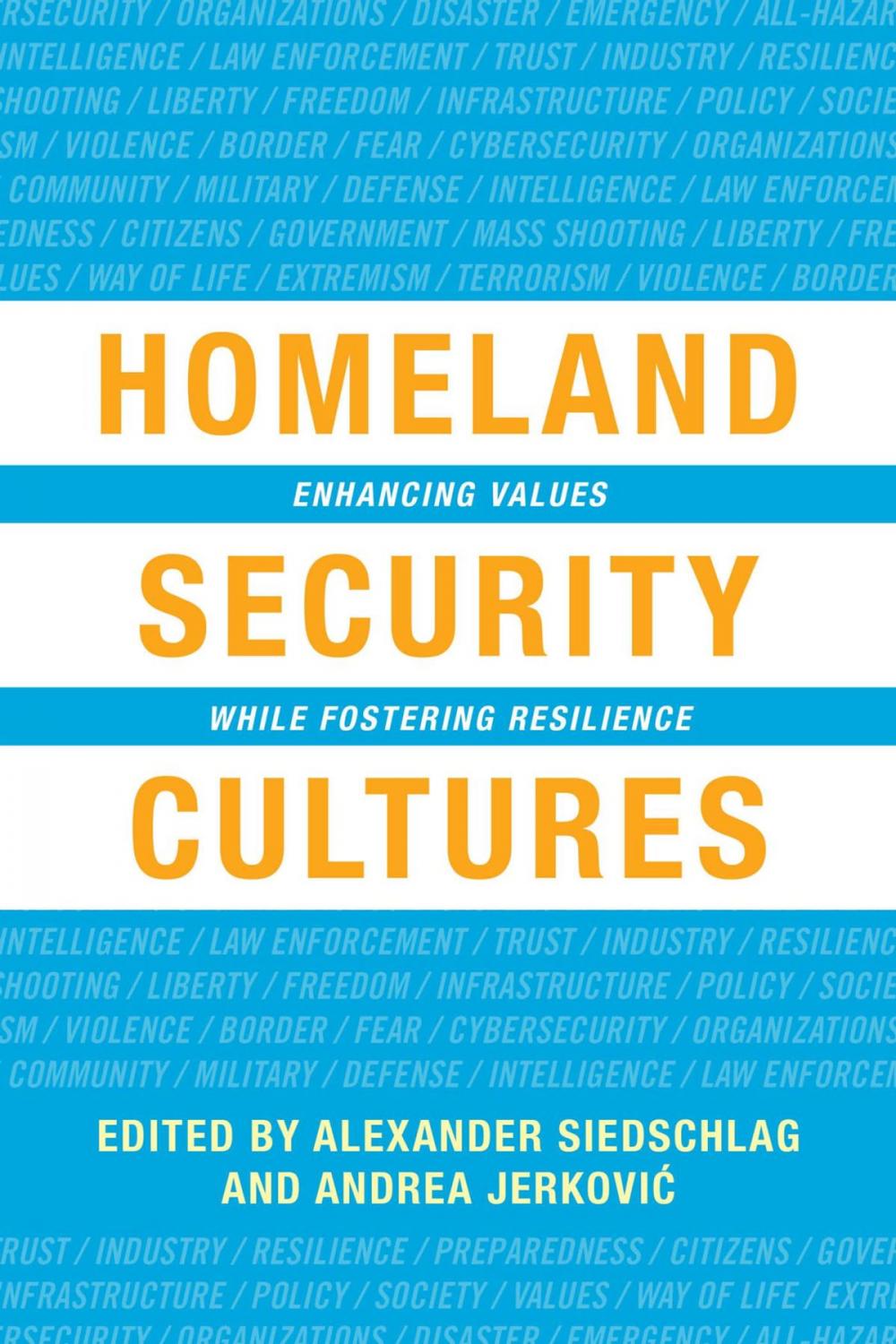 Big bigCover of Homeland Security Cultures