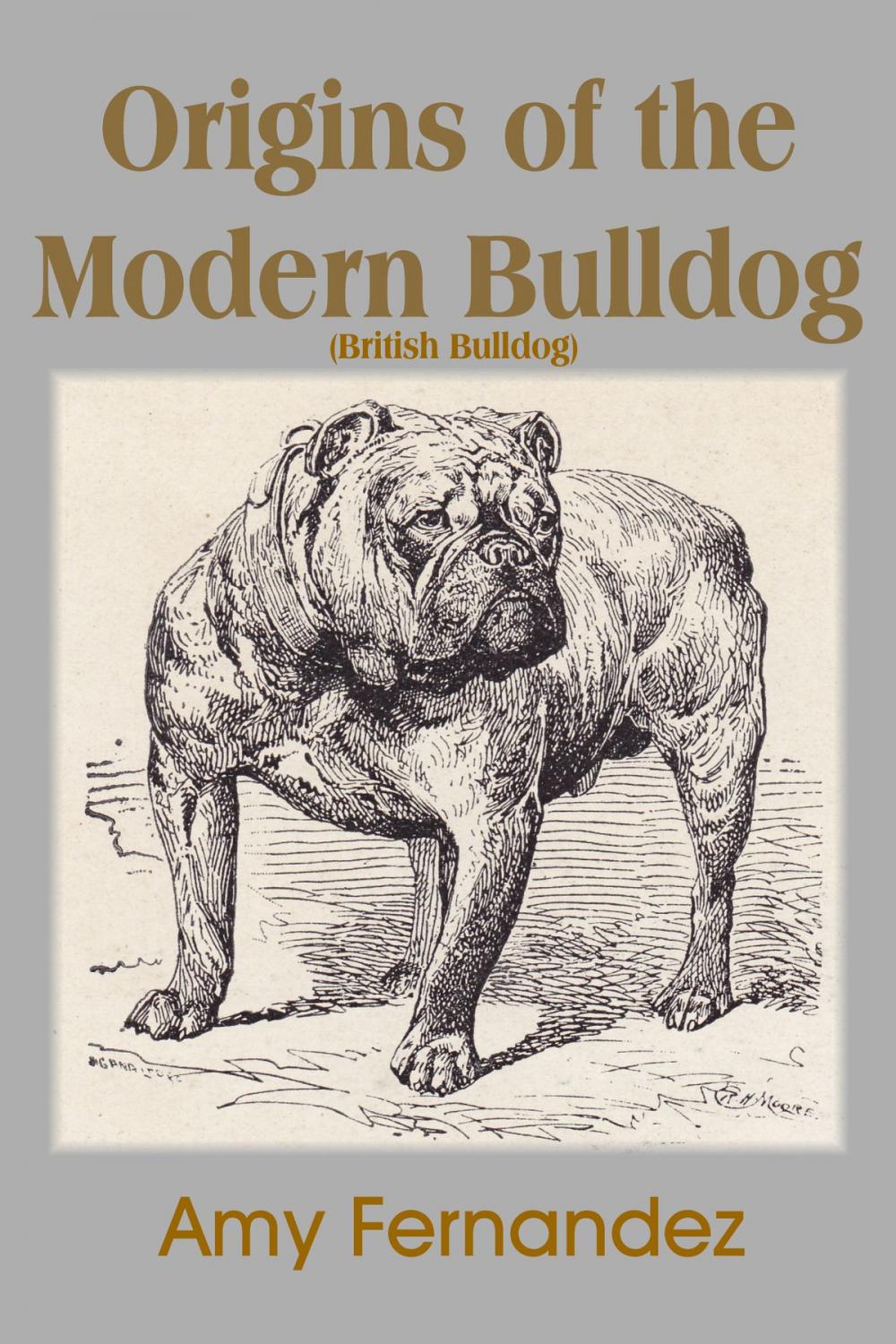 Big bigCover of Origins of the Modern Bulldog