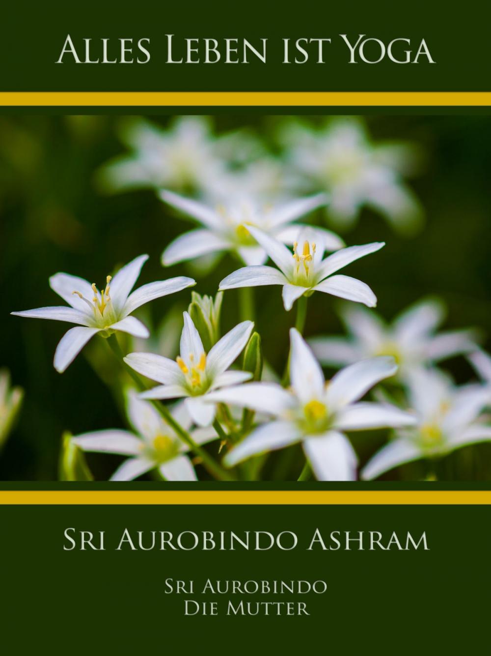 Big bigCover of Sri Aurobindo Ashram