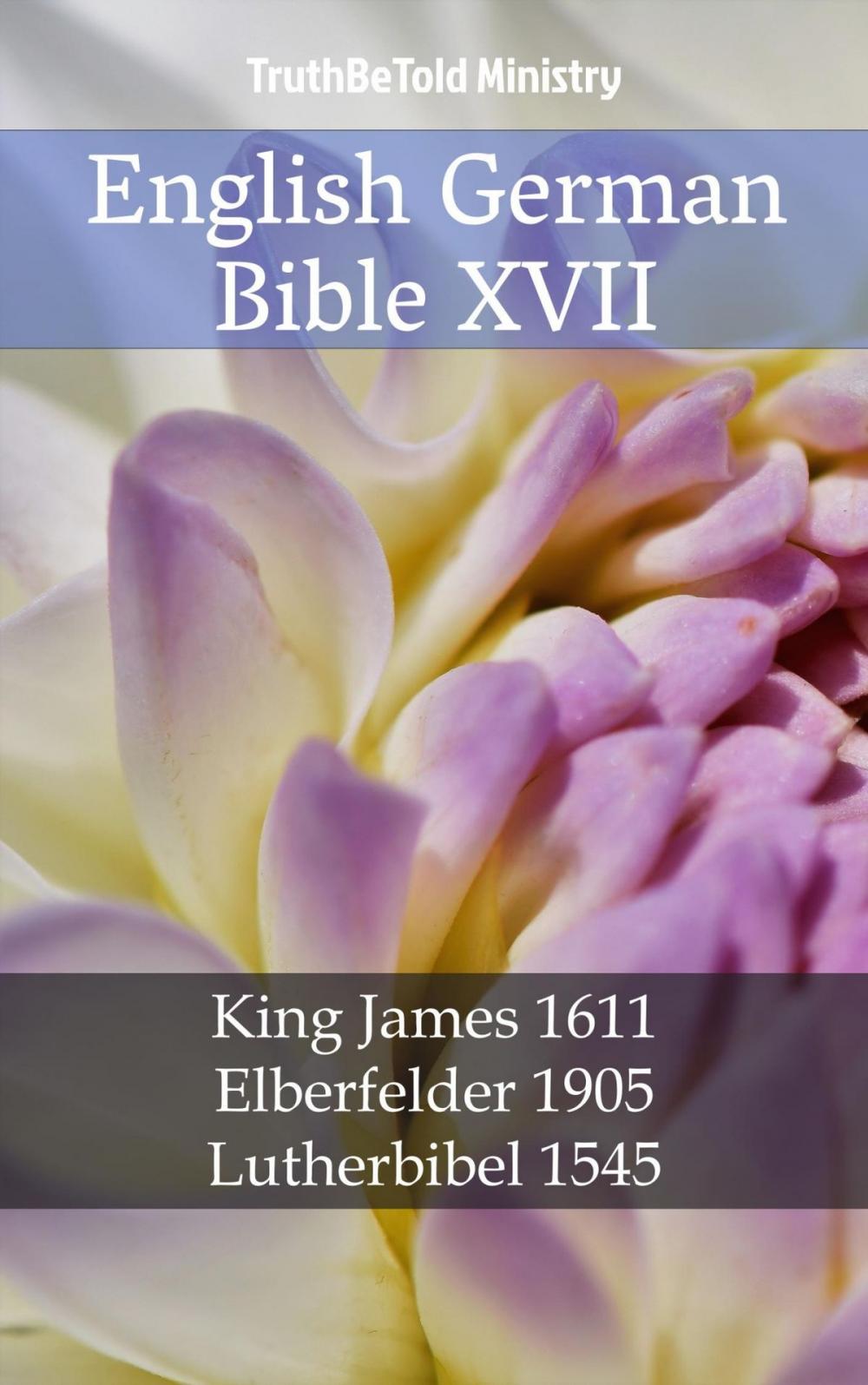 Big bigCover of English German Bible XVII