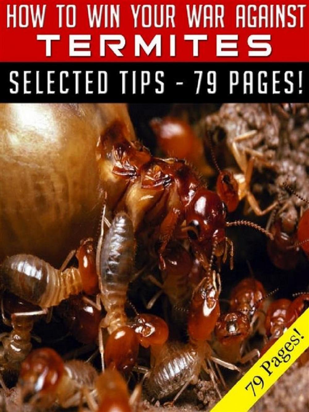 Big bigCover of How To Win Your War Against Termites
