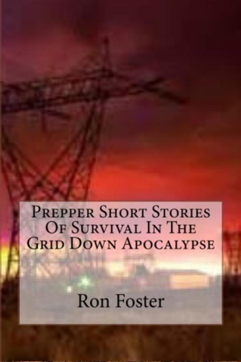 Big bigCover of Prepper Short Stories Of Survival In The Grid Down Apocalypse