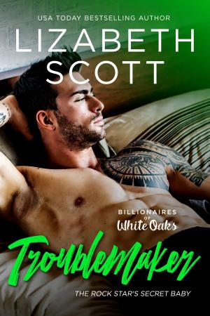 Cover of the book Troublemaker by Lizabeth Scott
