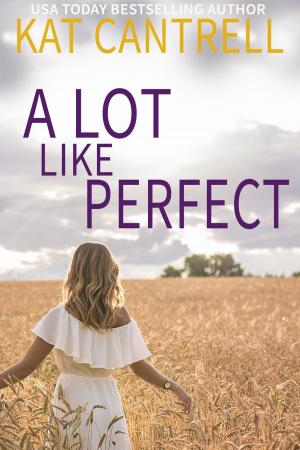 Cover of the book A Lot Like Perfect by K.C. Rice