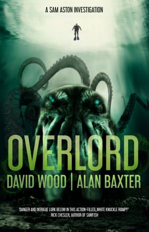 Cover of the book Overlord by Jonathan Maberry, Rena Mason, Michael McBride, Kirsten Cross, Paul Mannering, S.D. Perry, Aaron Sterns, J.H. Moncrieff, Jake Bible, Jessica McHugh, Sean Ellis, James A. Moore