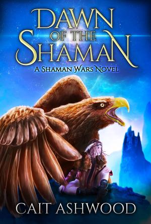 Cover of the book Dawn of the Shaman by J.B. Kleynhans