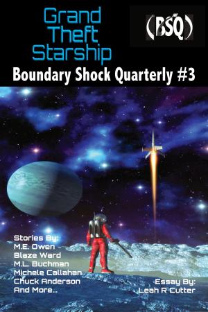 Book cover of Grand Theft Starship