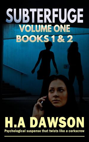 Cover of the book Subterfuge Volume One by James Grady