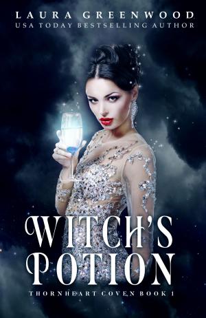 Book cover of Witch's Potion