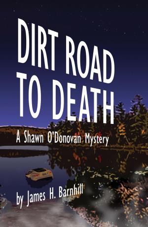 Cover of the book Dirt Road to Death by Jennifer Hakkarainen