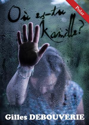 Book cover of Où es-tu Kamille ?