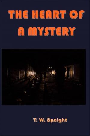 Book cover of The Heart of a Mystery