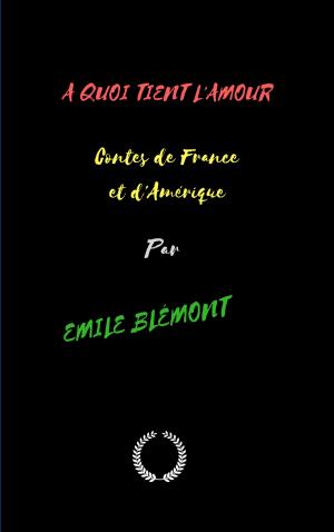 Cover of the book A QUOI TIENT L'AMOUR Contes de France et d'Amérique by ALBERT CIM