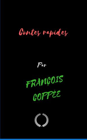 Cover of the book Contes rapides by EDMOND ET JULES DE GONCOURT
