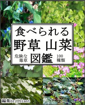 Cover of the book 食べられる野草山菜図鑑 by Savita Krishnamurthy