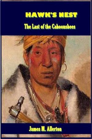Cover of the book Hawk's Nest by Prentiss Ingraham